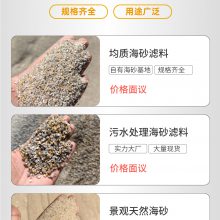 贵州安顺 精致无烟煤滤料 2-4mm纯水处理价格