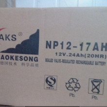 Ӧ¿12V7AH NP12-7 ܷʽǦ UPS EPS