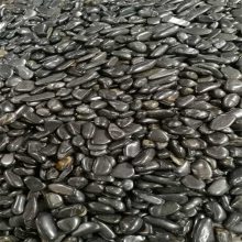 德州普通抛光鹅卵石 人工精心挑选鹅卵石规格齐全 来电议定 荣茂