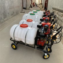 苹果树林除草除虫喷雾器 汽油喷药机 小型农用消毒打药机
