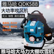 QDK588ʱʽʹ·Ҷѩ