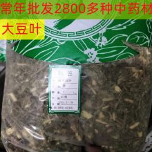 中药材 大豆叶 多少钱一斤 厚池药业 供应大豆叶