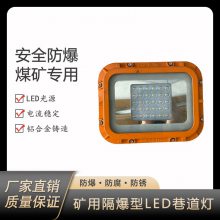 DGS50/127L(A)÷LED