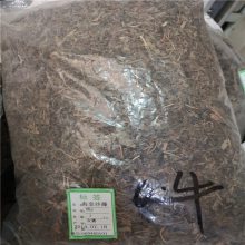 海金沙草功效与作用 海金沙草的药用价值海金沙草哪里购买