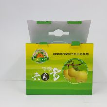 攀枝花芒果包装盒制作 水果纸盒 成都包装厂