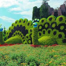 四川真植物绿雕造型厂家批发-定制绿雕详情