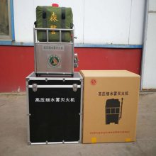 高压细水雾灭火器脉冲式森林防火灭火机大功率便携式灭火枪