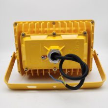 LED40W-ExdIICT6-IP65-AC220Vled
