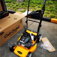 Cub Cadet Ƶ 21ĳ̲ƺ ݻ ݻ ݻ