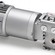 MinimotorٵPAE260M2T