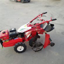 ʥ³ ͵ ๦ʽݻ