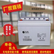 圣阳蓄电池6GFM-65 12V65AH基站 监控照明应急电源后备专用电瓶