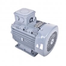 E-SCHAEFERTE Q3E FA 132 M2A