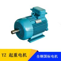 ľ˹YZ160L-6-11KW 611ǧߵ綯 ұ첽