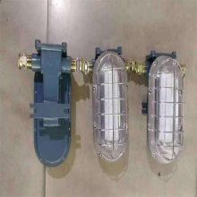 研发DGC18/127L(A) 三乐照明煤安证 矿用支架灯