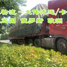 豸ڶ˹/׶˹ʱЧѸ 