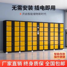 商场超市智能存包柜人脸识别24门储物 密码 刷卡 掌纹识别开门