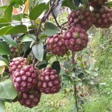 ���ϻ�������ˮ��������Ʒ�����ļ���������Ե�����