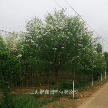 12۸ 2021͸ӻ СǮ ޽ӹľ