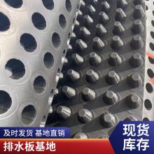 黑色PE塑料绿化蓄排水板虹吸材料凹凸过滤复合排水板