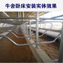 牛卧床厂家 牛卧栏尺寸 牛卧床配件 卧床立柱抱卡 挡颈杆抱箍 颈轨抱卡