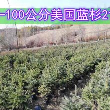 60-100ɼ21*21
