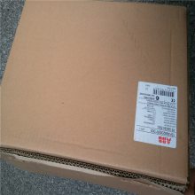 RLON-01/RCAN-01ABBƵ