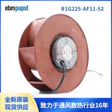 R1G225-AF11-21  R1G225-AF11-52 ¹ebmpapstֱ