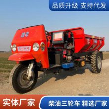 路丰供应柴油自卸三轮车 工程小型翻斗车 农用三轮车