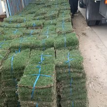 �̻���Ƥ���� ԰���̻���ƺ �ͼ�̤ͥԺ��԰�̻���Ƥ��Ӧ