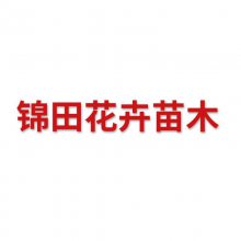 нﻨľ޹˾
