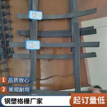道路工程 单项塑料土工格栅 增强路基 DG80 世杰工程材料