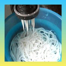 綯СϺ©ָ
