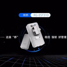 ܼRG-EST300 2.4GƵ