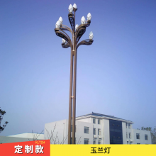 安庆中华灯厂 景观LED玉兰灯 大型照明工程供应 主干道路亮化