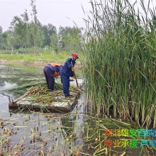 нӱ«έո ԰«έո ʪ«έո רҵĻרҵ