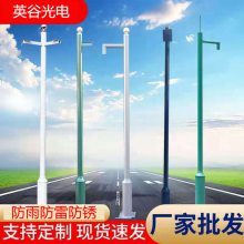 3米3.5米4米监控杆厂家价格球机枪机变径L型圆管景区小区可定制