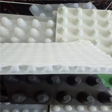 hdpe͹ˮ1100gݶⶥˮˮ