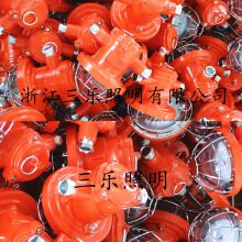 DGC18-22/127L（A）铸钢圆形采掘工作面支架灯 矿用隔爆型LED支架灯