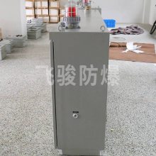 飞骏定制 粉尘防爆电气控制柜 正压型防爆配电柜防爆控制柜