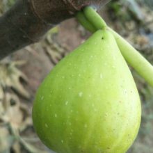 ޻硢޻硢޻
