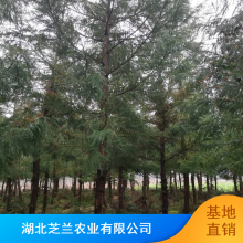 5-8ֿ溦ɼ_֥еɼ_ɻ***ɼ