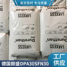 注塑级PA66 德国朗盛 DPA30SFN30非增强级 阻燃V0 工程塑料