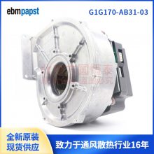 ȫ G1G170-AB31-03 ebmpapst ȼ¯ 230V AC