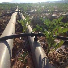 四川农业节水灌溉滴灌喷灌水肥一体化PE管材管件