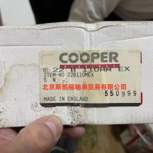 SKFʷ ͲעͲ Ӣ Cooperʷ COP.02EB200EX