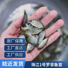 ޷ ֳ޷޷͵ ޷ˮ