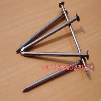 普通建筑铁钉 圆钉 建筑钉子厂家