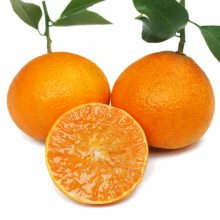ռҲа˹۸ۣ̽ڷʵؿ죬Ʒ