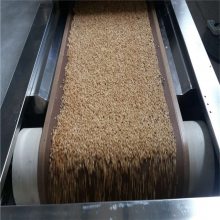 沃斯特 五谷杂粮扁桃 微波熟化机 隧道式玉米烘烤设备